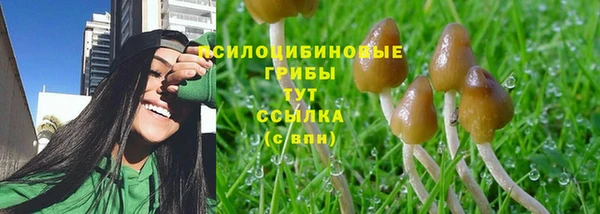 PSILOCYBIN Нея