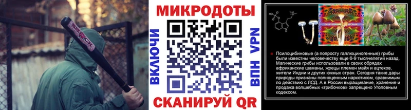 что такое наркотик  Ардатов  Псилоцибиновые грибы Psilocybine cubensis 